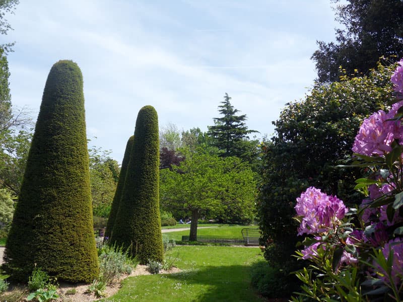 JARDIN PUBLIC
