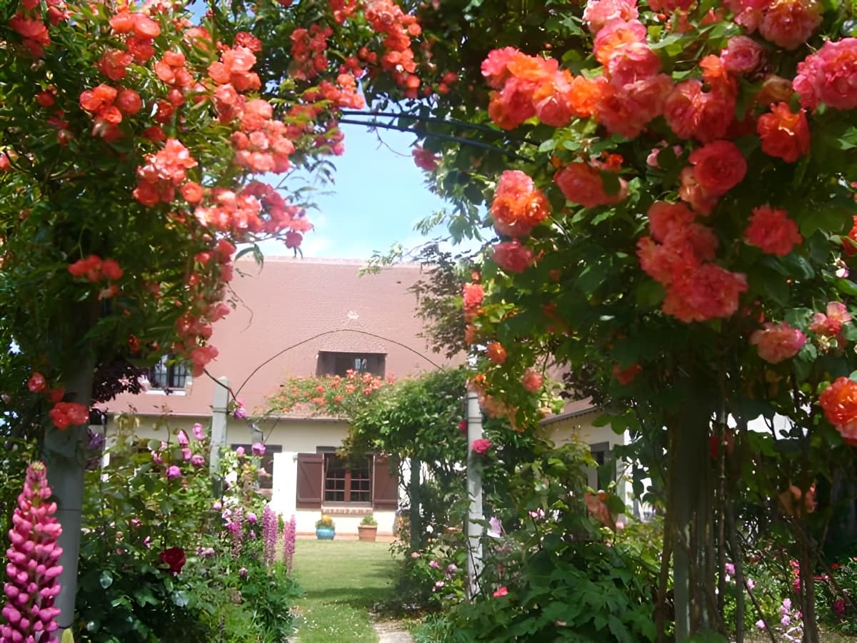 joris-la roseraie-2