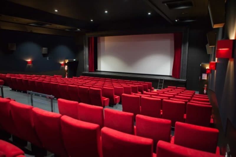 la-haye-cinema-le-rialto-salle