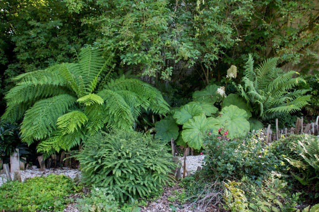 JARDIN DE LA POTERIE (2)(1)