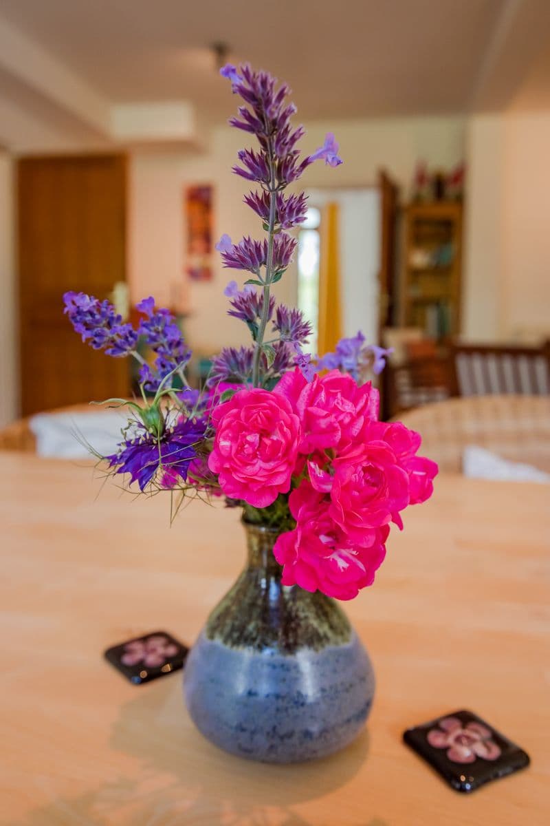 normandy-inn-montbray-3