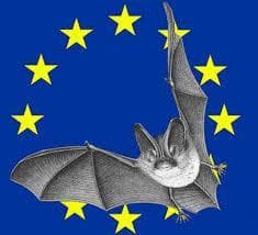 nuit de la chauve-souris