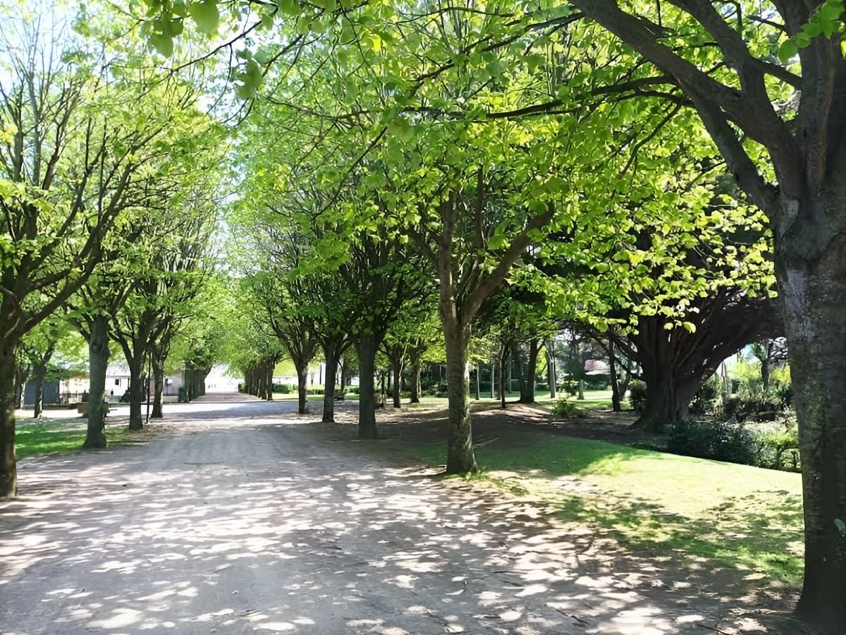 parc verdun (1)