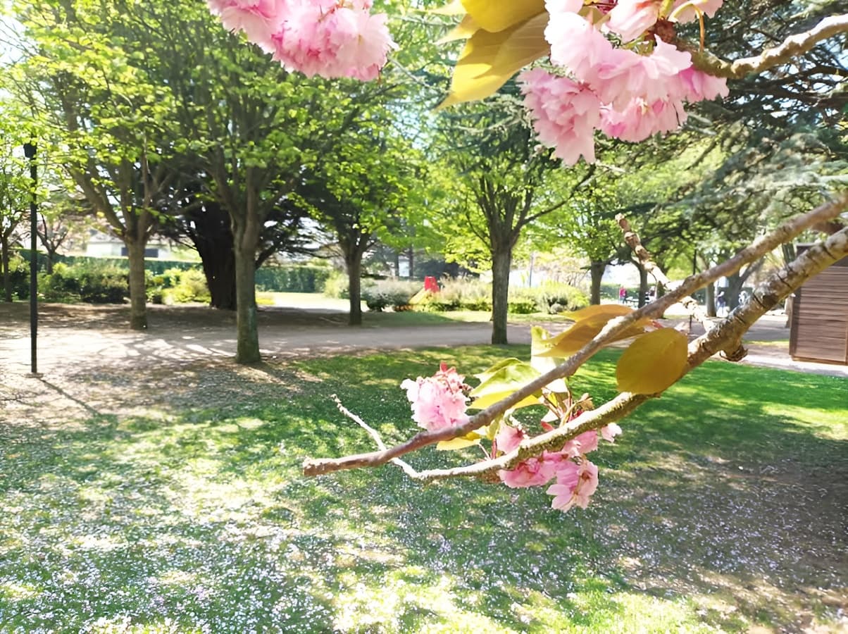 parc verdun (2)