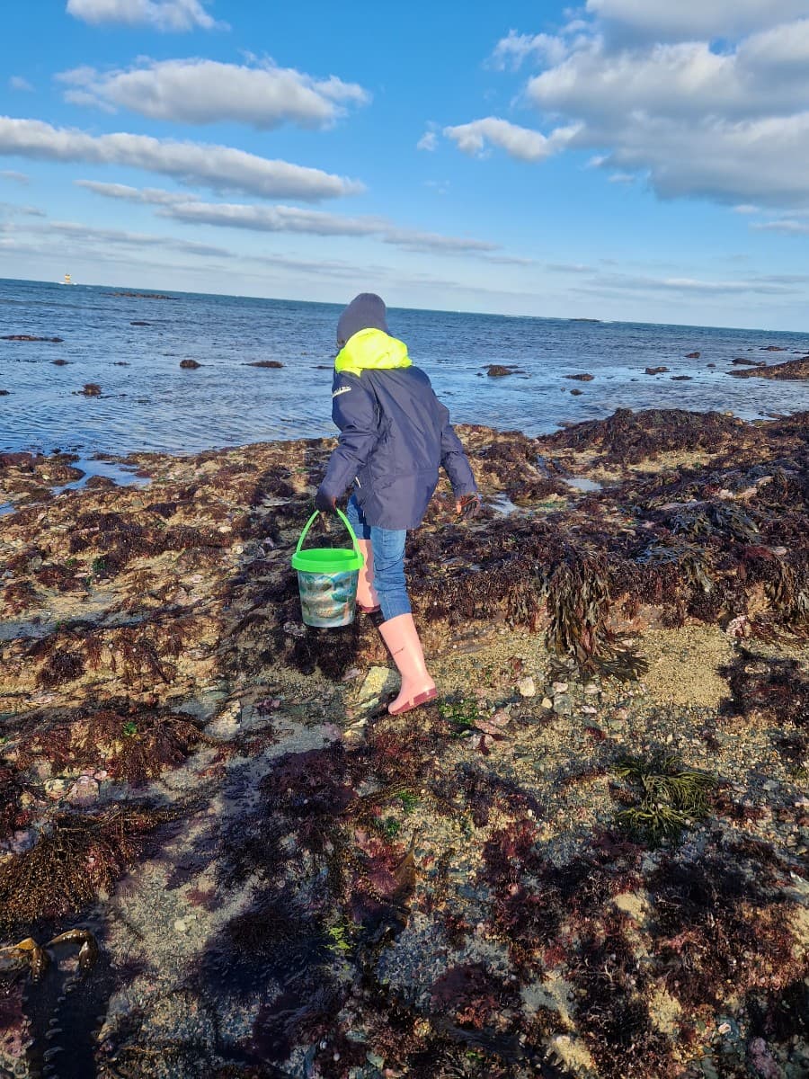 pêche à pied 2