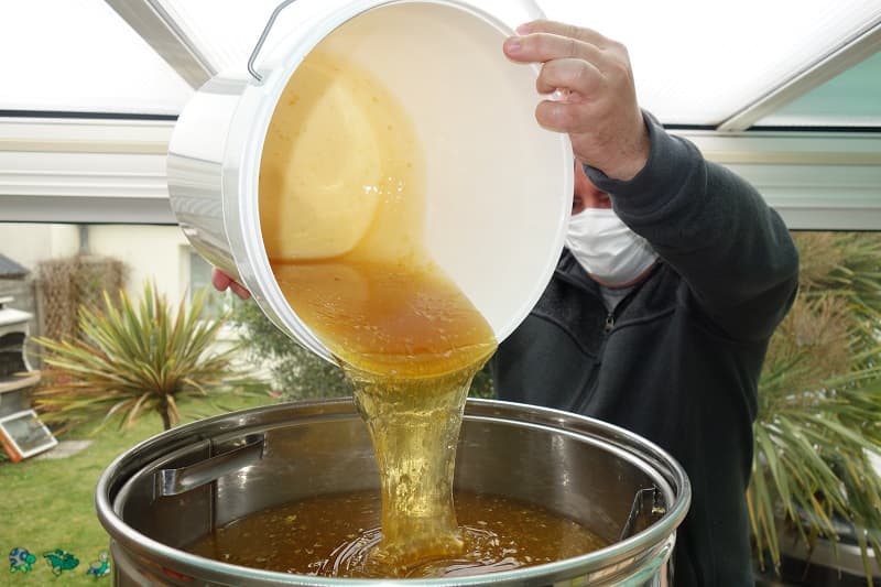 Extraction miel 2024