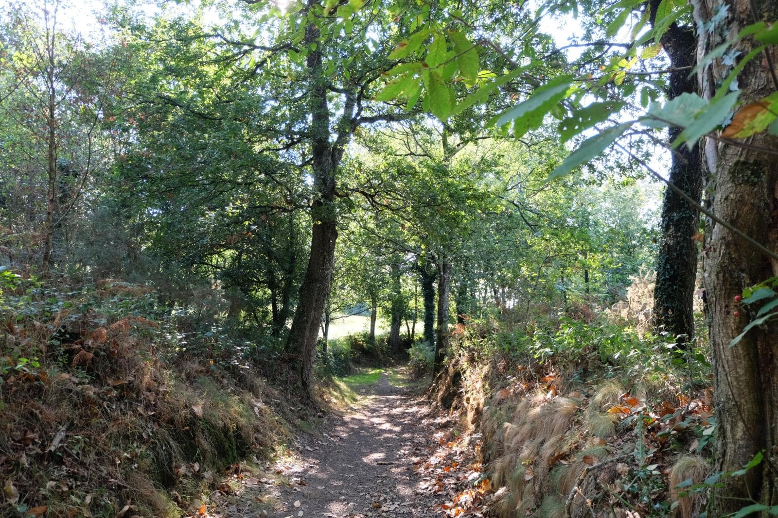 photo-rando-de-l-aure.JPG