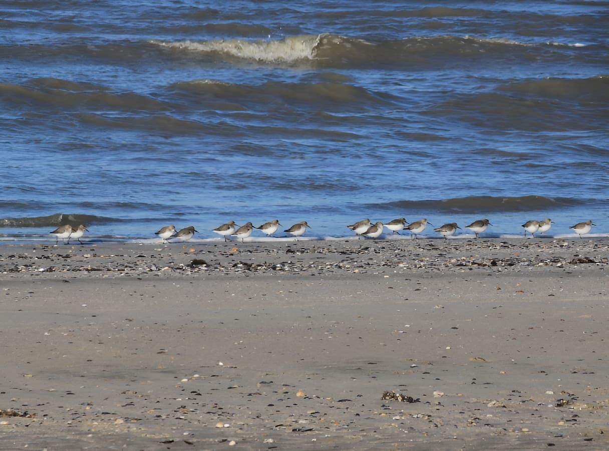 plage de Pennedepie