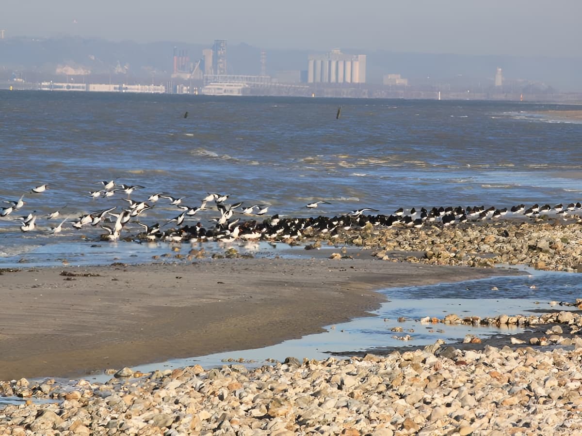 plage Pennedepie