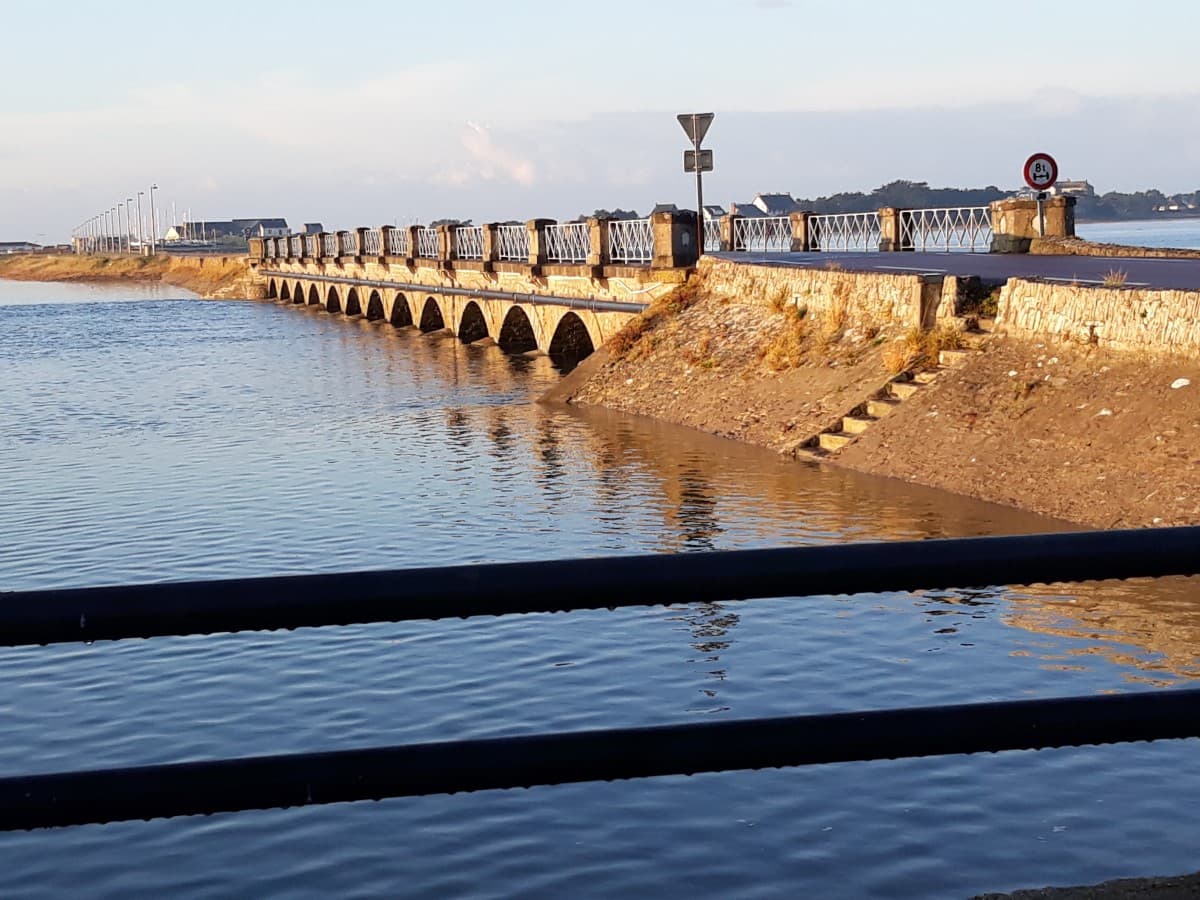 portbail-lila-rose-1