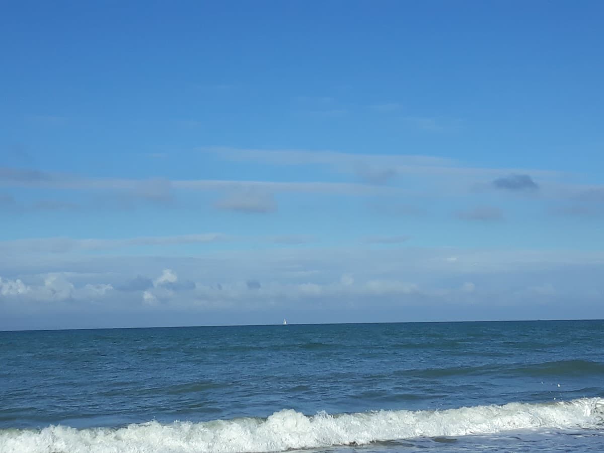 portbail-lila-rose-2
