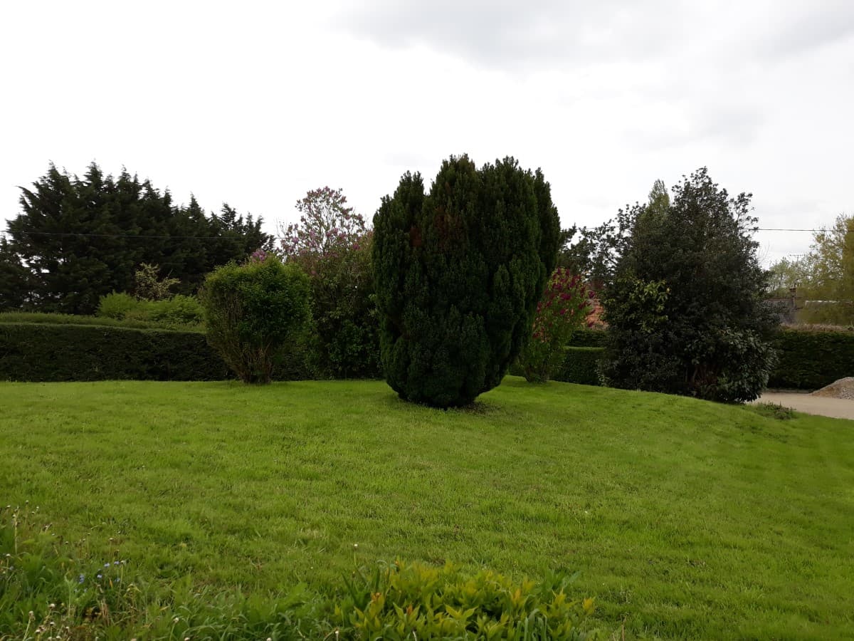 portbail-lila-rose-3