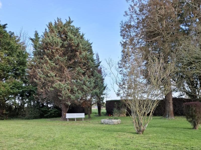 sainte-geneviève-meublé-les-campanules-10