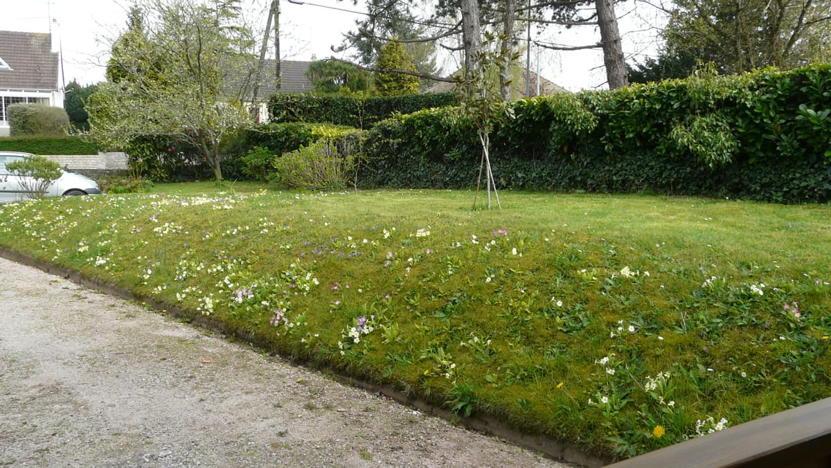 valognes-meuble-didace-12