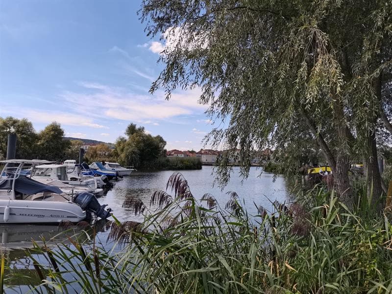 Port de Plaisance Michel Roth