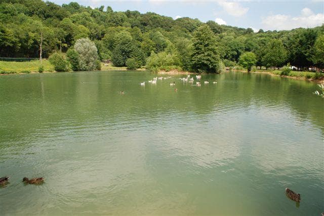 Parc de profonde fontaine - Longuyon