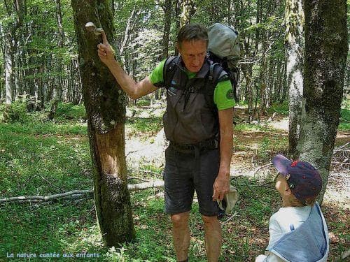 Philippe Poulet - accompagnateur en montagne