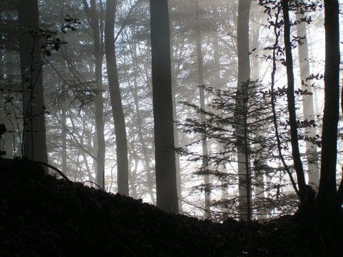 Florian Gascht - accompagnateur en montagne
