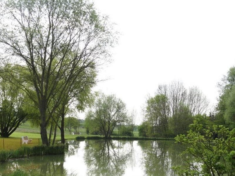 Aire du Willenbrunnengarten