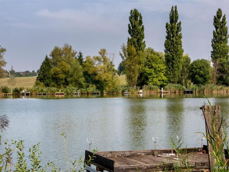 Etang de Farschviller