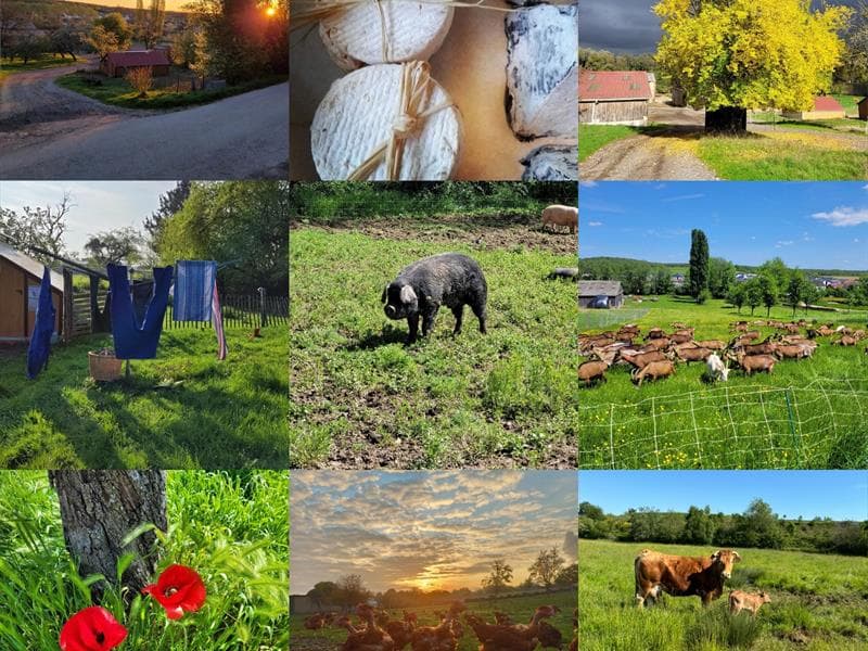 Ferme du Fol Épi