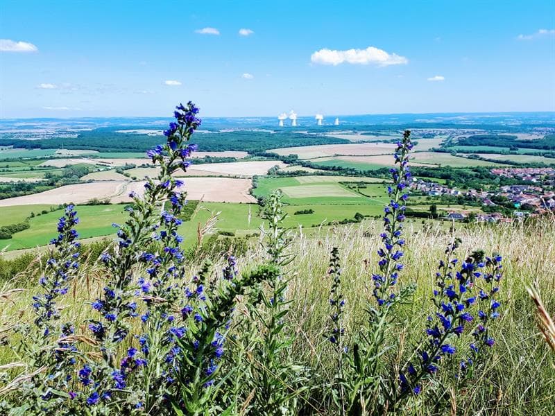 Point de vue du Hetschenberg