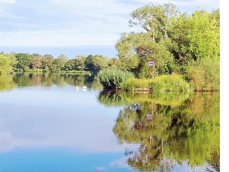 Aire de pique-nique - Bord de Moselle