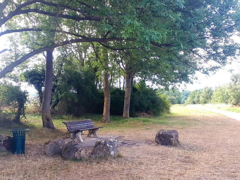Aire de pique-nique - Bord de Moselle