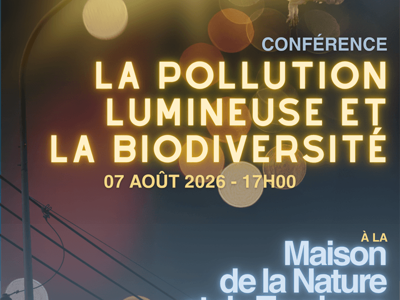 Conférence - Pollution lumineuse et biodiversité