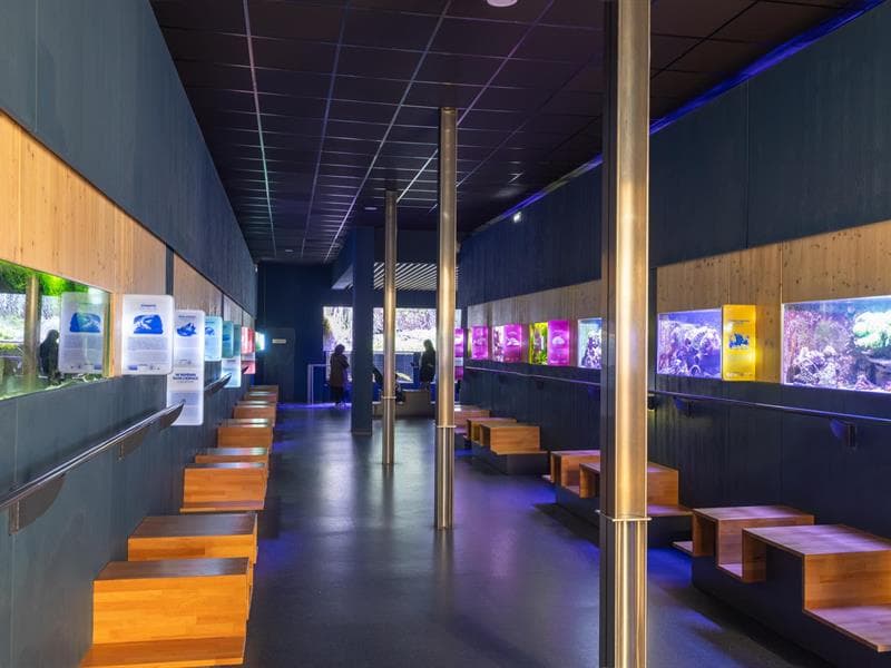 Muséum-Aquarium de Nancy