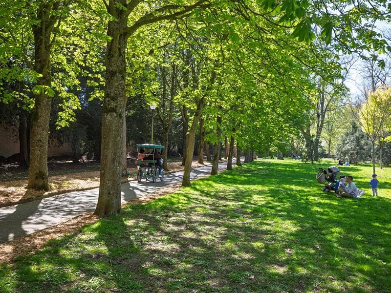 Parc de la Pépinière