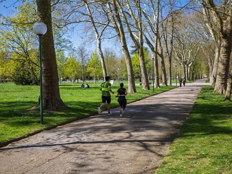 Parc de la Pépinière