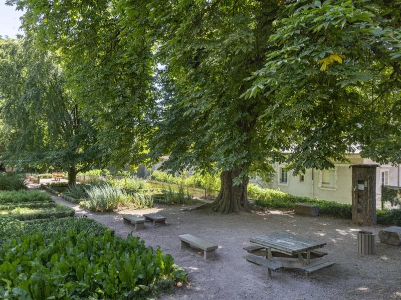 Jardin de la Citadelle
