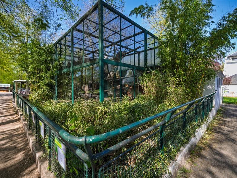 Parc de La Pépinière - Espace animalier