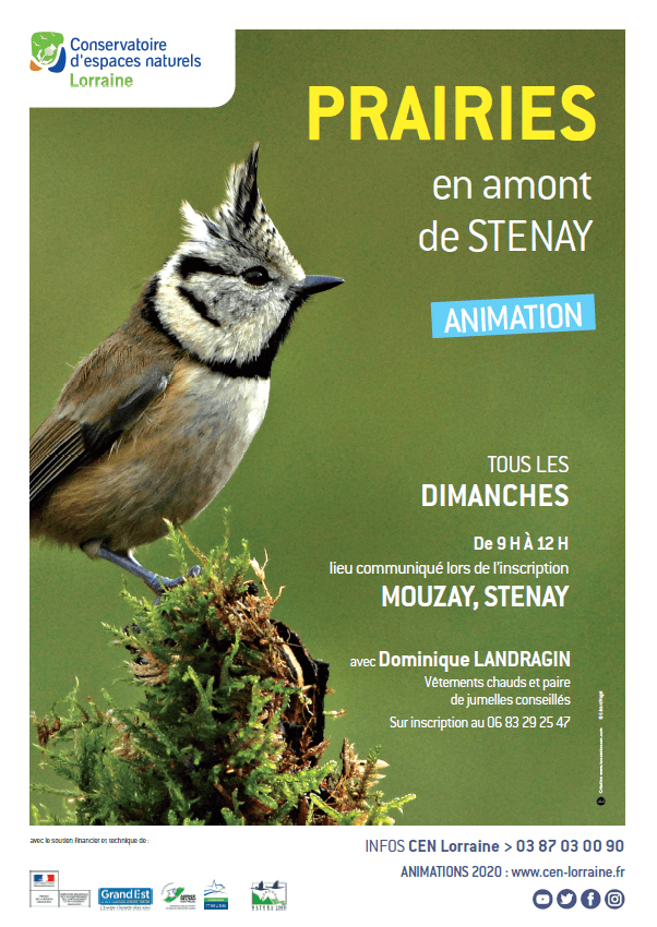 Balade naturaliste et ornithologique