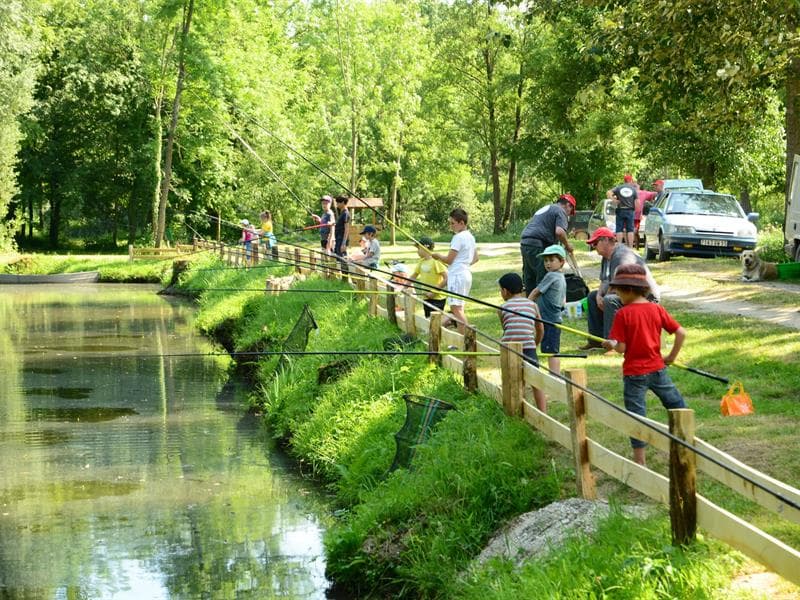 Ateliers pêche nature
