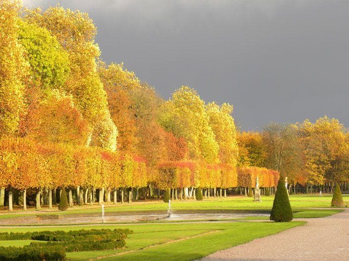 Parc des bosquets