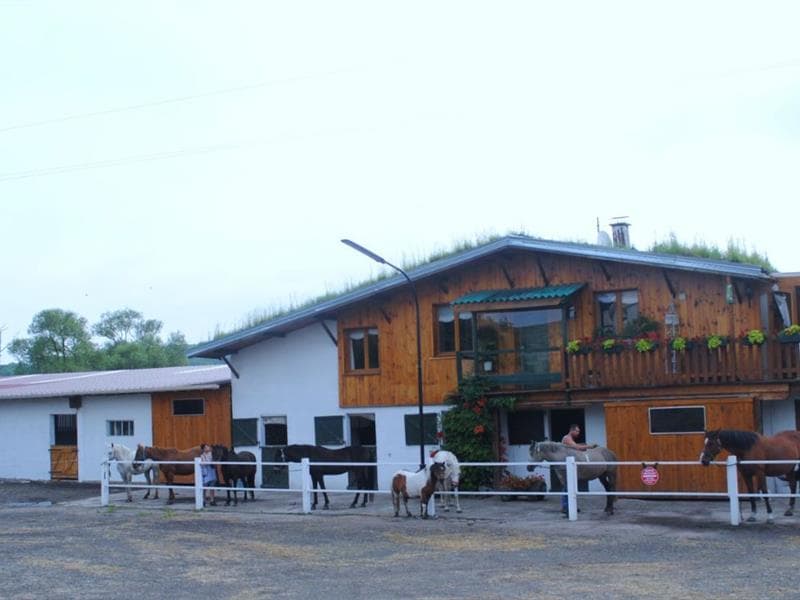 Centre équestre La Manade