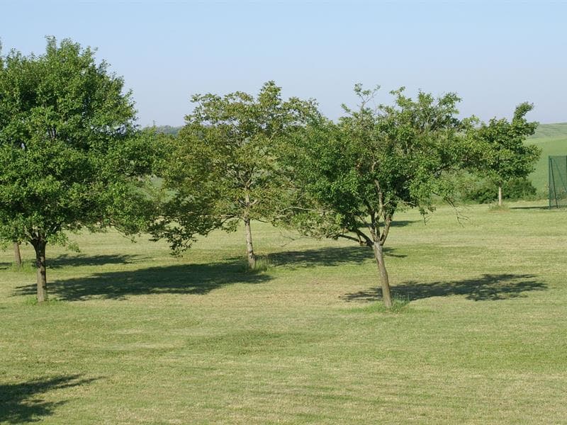 Aire naturelle de camping