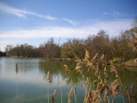 Espace naturel sensible du plain