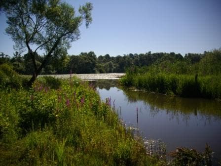 Espace naturel sensible du plain