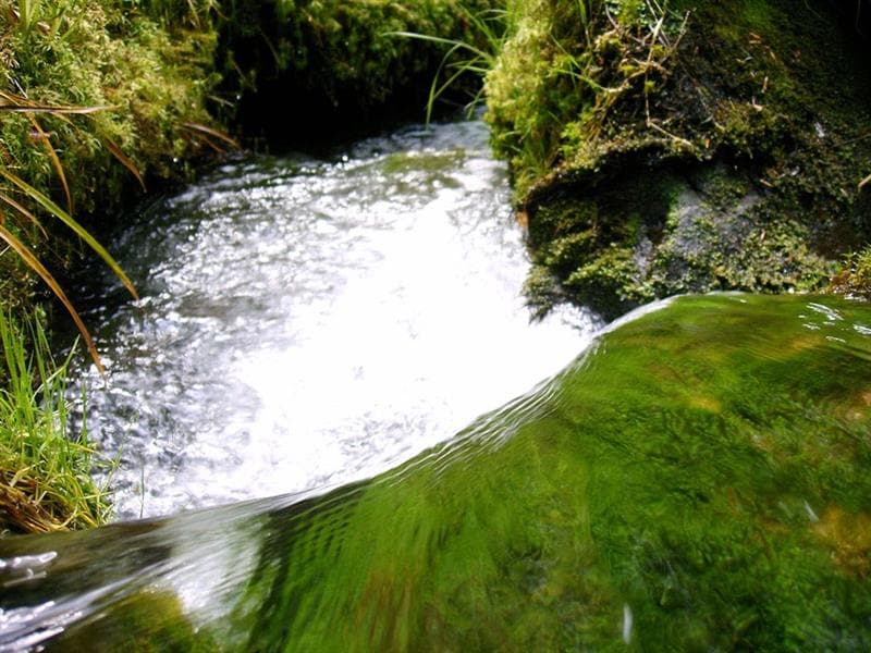 Pêche la Truite de la Verdurette