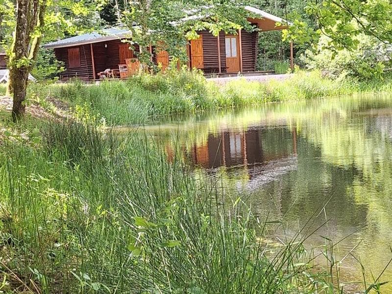 Chalet des Sources de Ger - Waldan
