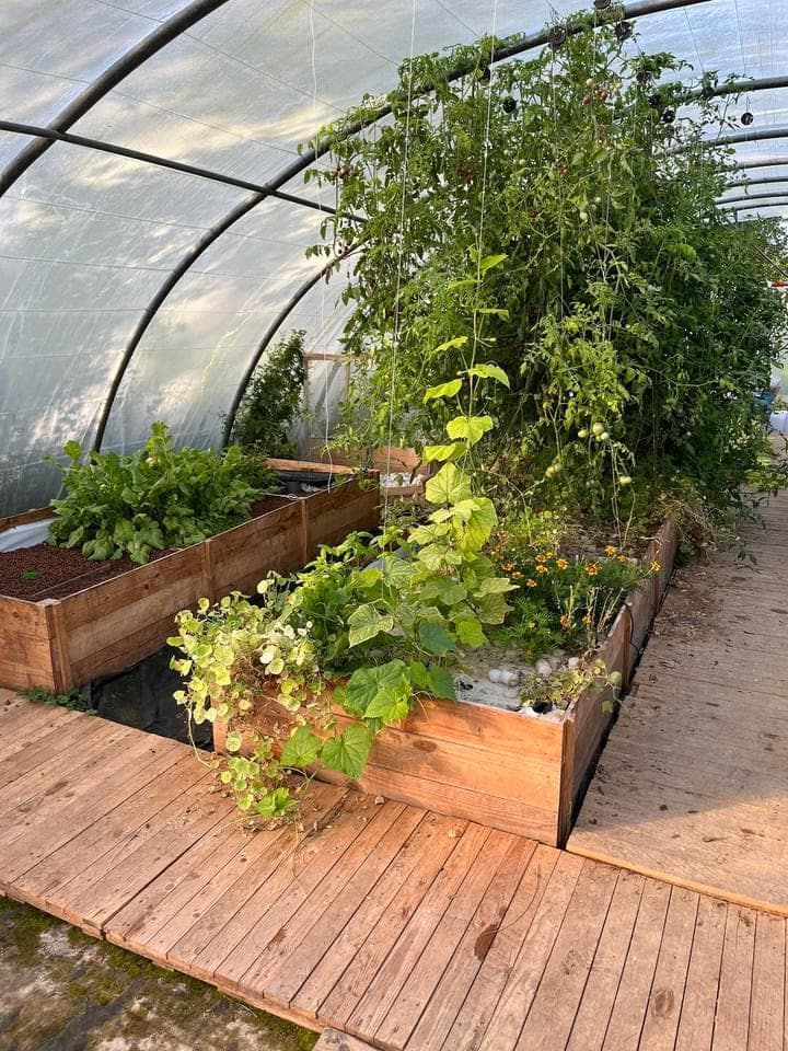 Visite de la ferme aquaponique