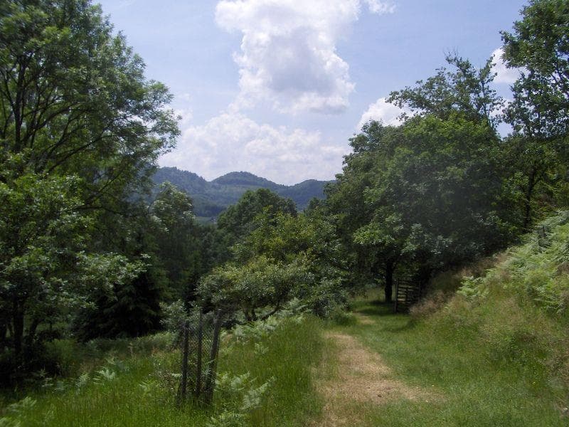 Arboretum
