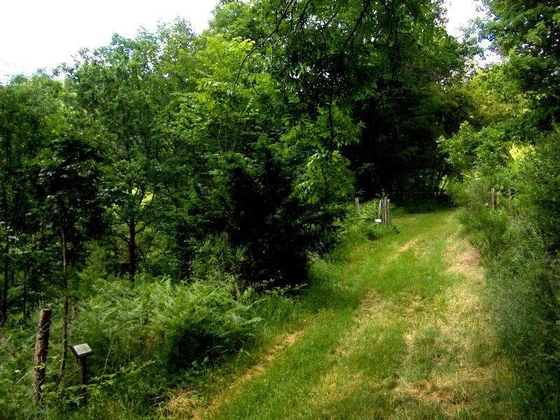 Arboretum