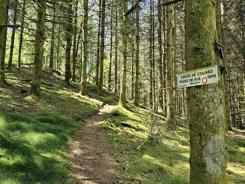 Croix de Couard