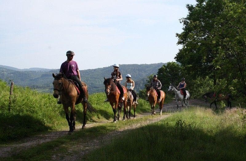 École d'équitation du Closel