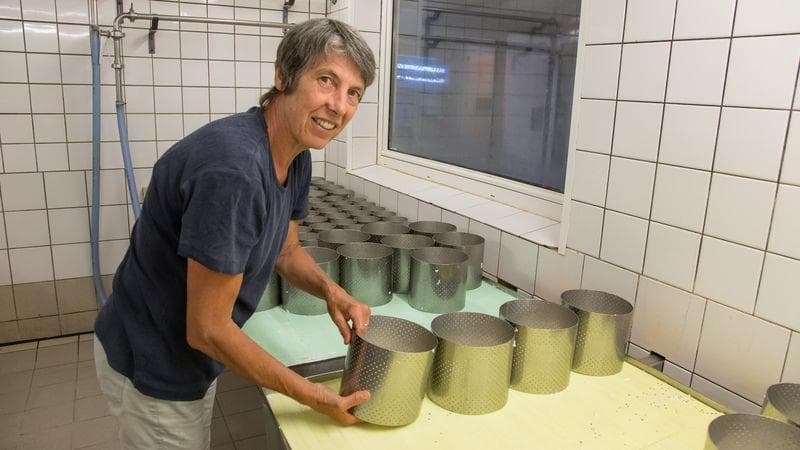 Gaec du Vacceux
