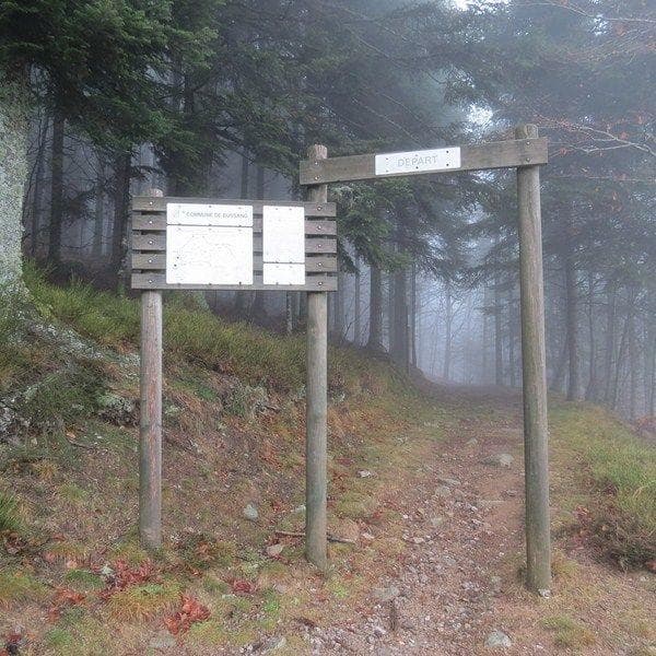 Parcours de santé à Bussang